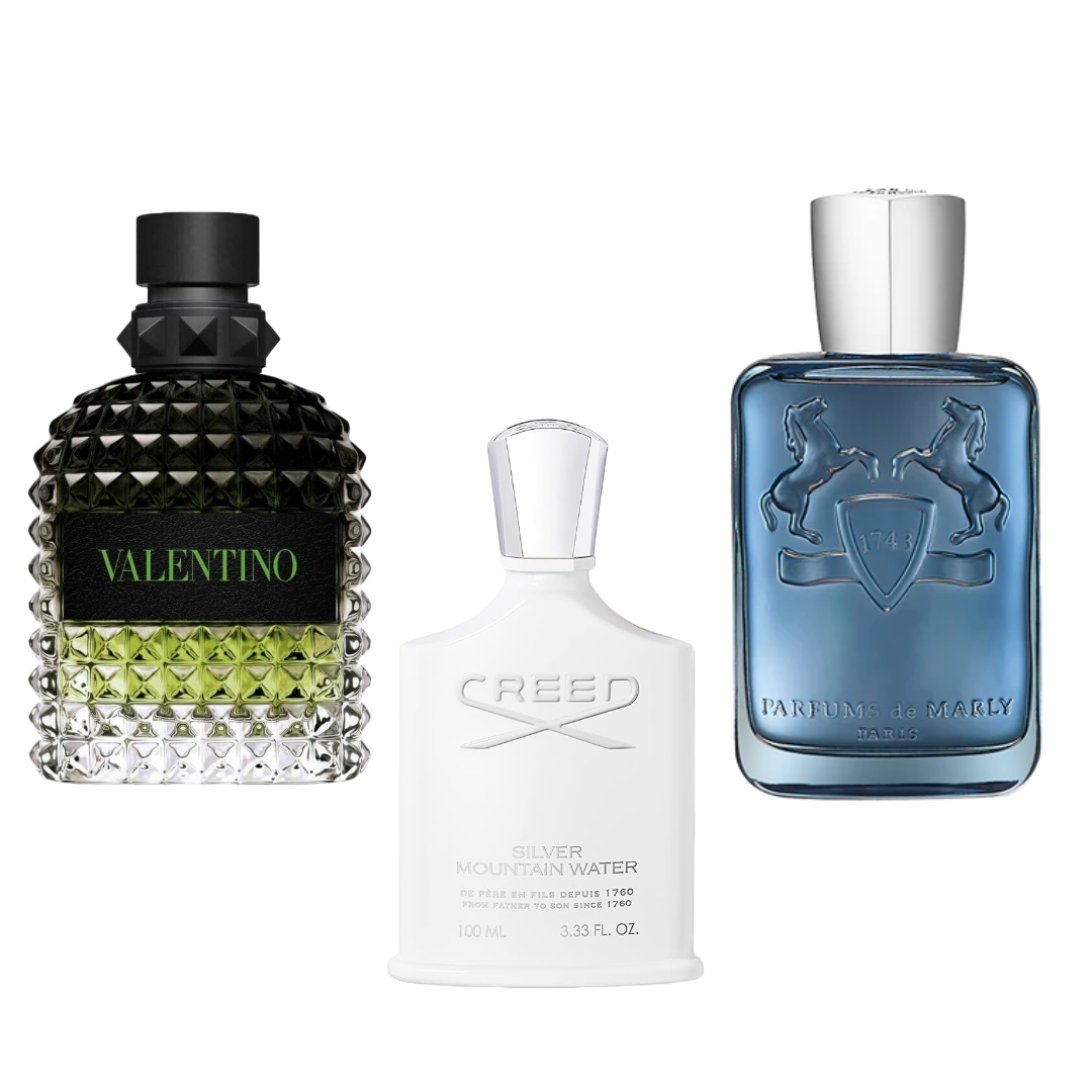 Spring in Bloom Discovery Set